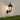 Pivane – Solar Sensor Wall Light IP44