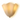 Snäcka – Modern Shell Design Wall Lamp
