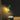 Corvique - Adjustable Nordic Wall Sconce